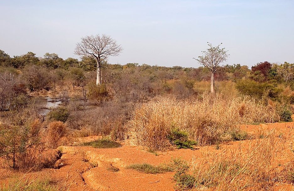 Parc Sarakawa , Kara Region, Togo